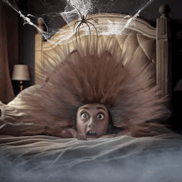 🎭 Emotions Explorer: Spot the Mood!  Blooket Quiz