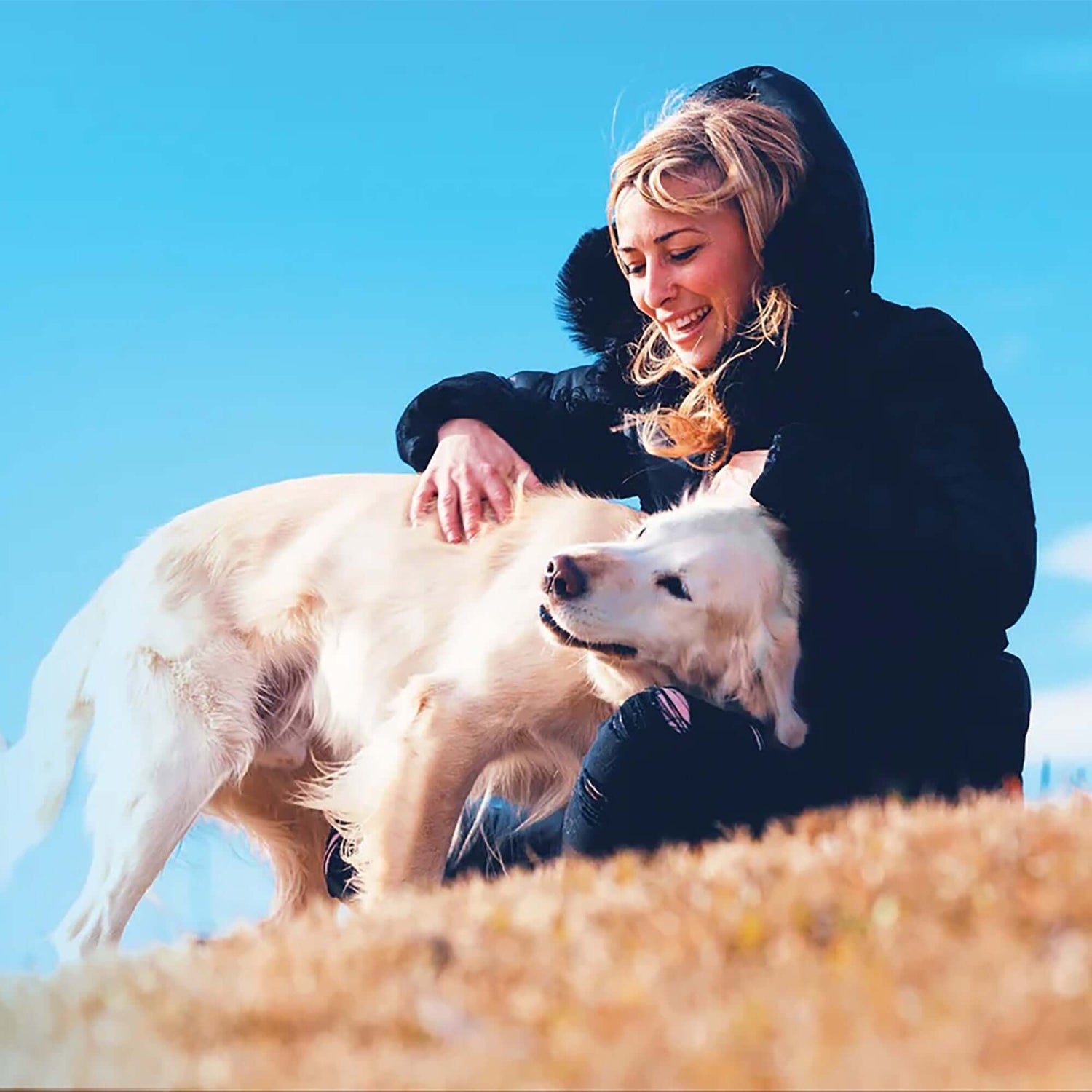 Woman happily petting a golden retriever outdoors under a clear blue sky