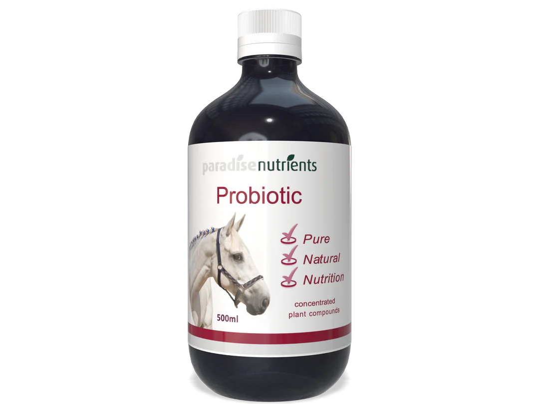 Horse Probiotic Tonic - Paradise Nutrients - Introducing our Horse Probiotic Tonic - a powerful blend of fermented fruits and essential plant minerals specially formulated to nourish and energise the beneficial bacteria in your horse's gut. This unique co