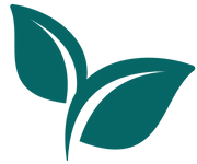 Illustration of two green leaves symbolizing nature and eco-friendly concepts.