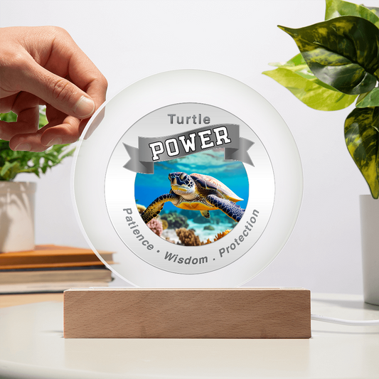 Turtle Power USB LED Light – Patience...Wisdom...Protection ShineOn Fulfillment