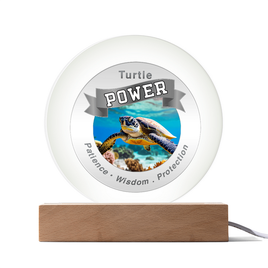 Turtle Power USB LED Light – Patience...Wisdom...Protection ShineOn Fulfillment