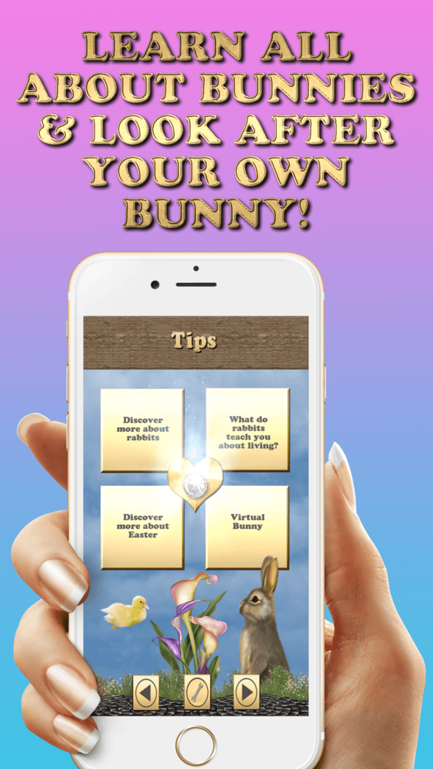 Where's The Bunny? App - Download For FREE, educational bunny tips and activities on smartphone