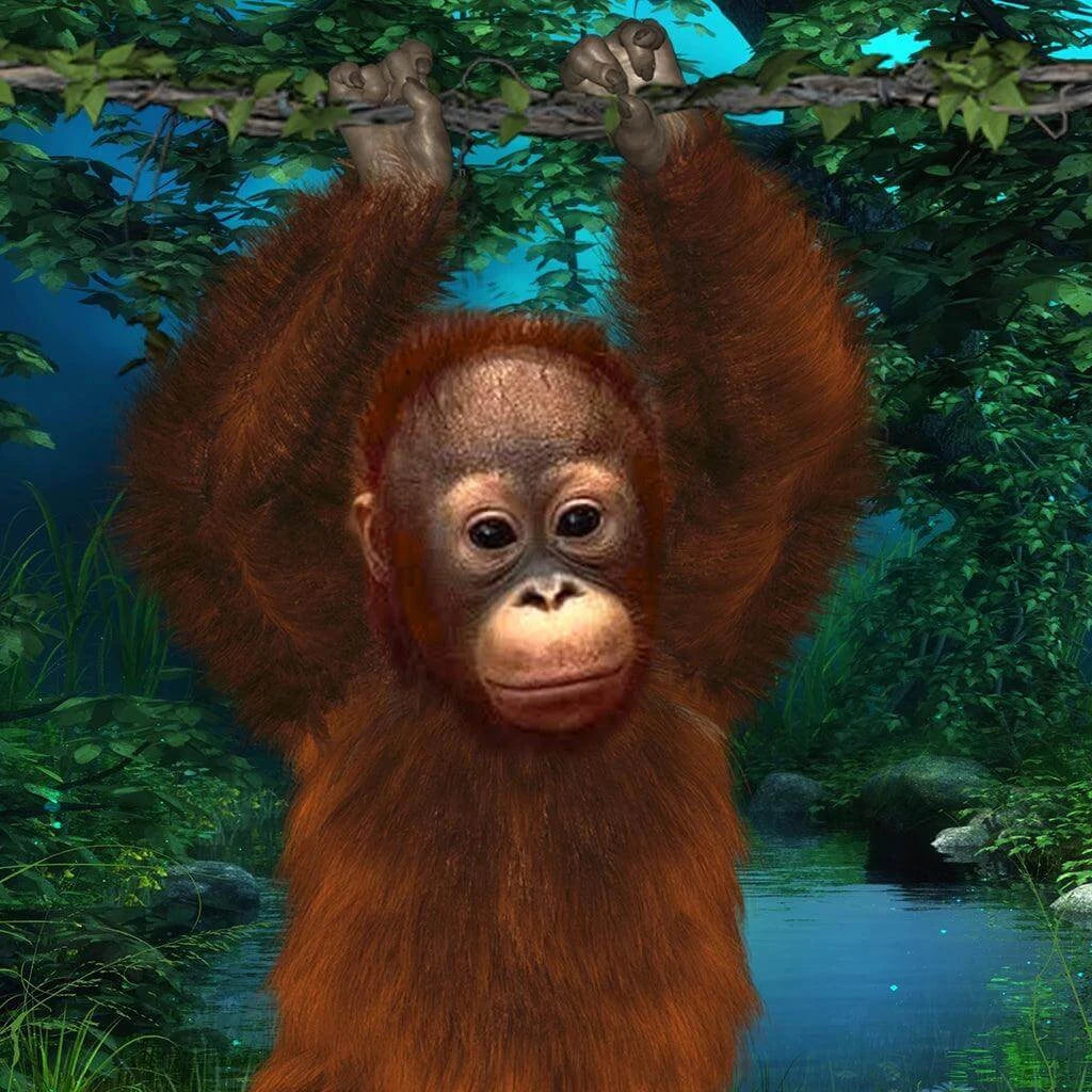 Orangutan - Power Animal Actively connect to orangutans & the environment through our various gifts for personal growth. What will you discover when you connect with an orangutan and swing in the jungle? More Than Charms