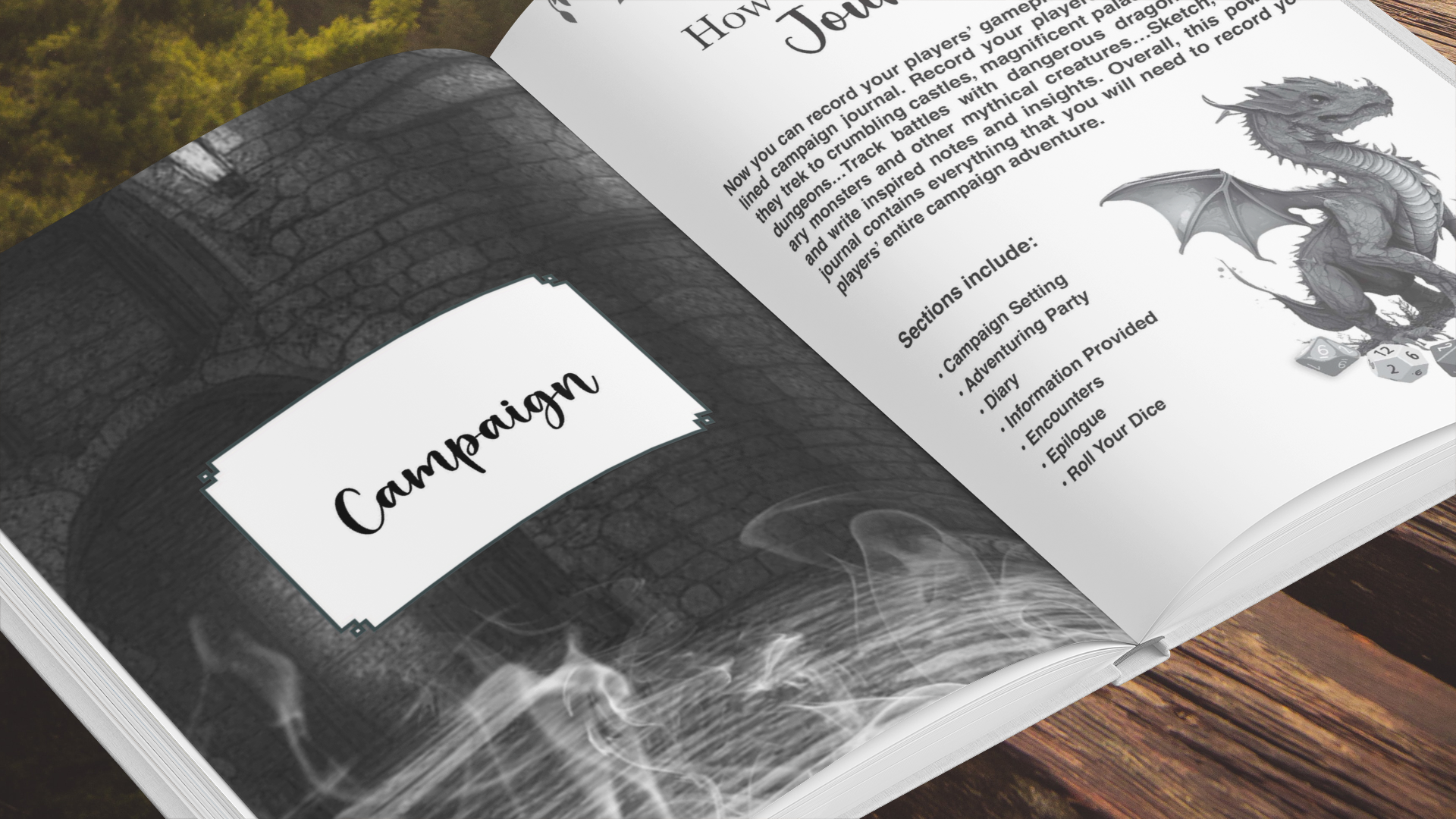 Campaign Journal - RPG Dragon Adventure Amazon