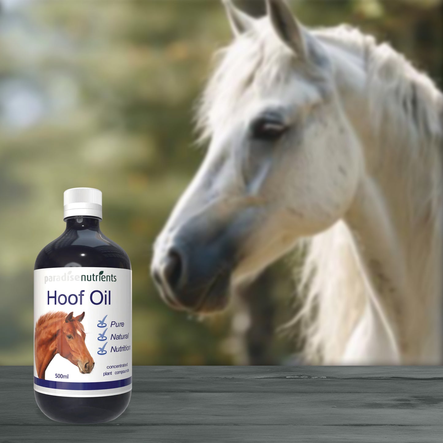 Horse Hoof Oil - Paradise Nutrients Paradise Nutrients