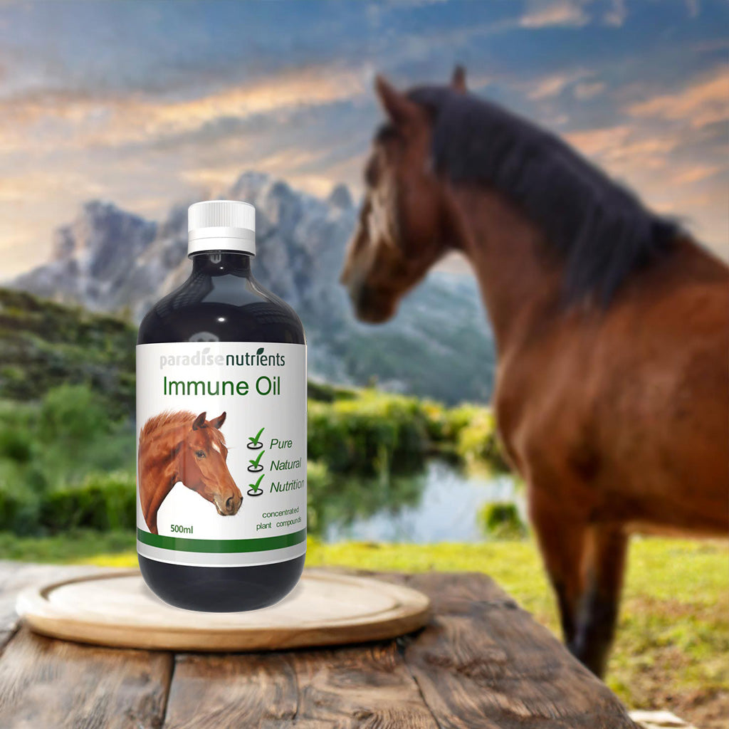 Horse Immune Oil - Paradise Nutrients Paradise Nutrients