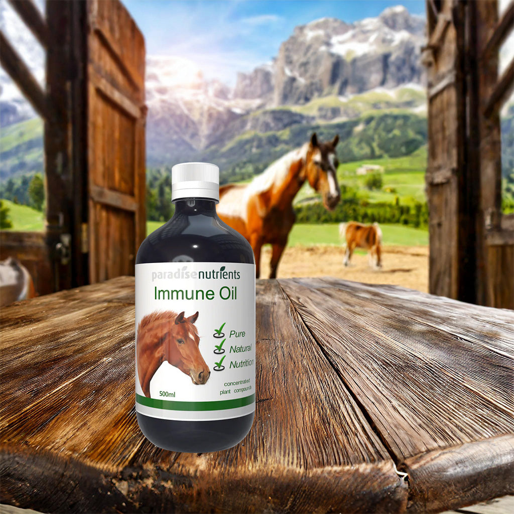 Horse Immune Oil - Paradise Nutrients Paradise Nutrients