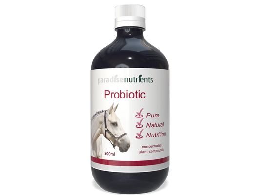 Horse Probiotic Tonic - Paradise Nutrients - Introducing our Horse Probiotic Tonic - a powerful blend of fermented fruits and essential plant minerals specially formulated to nourish and energise the beneficial bacteria in your horse's gut. This unique co