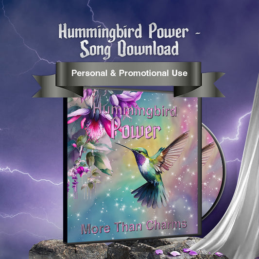 Hummingbird Power Song More Than Charms Digital