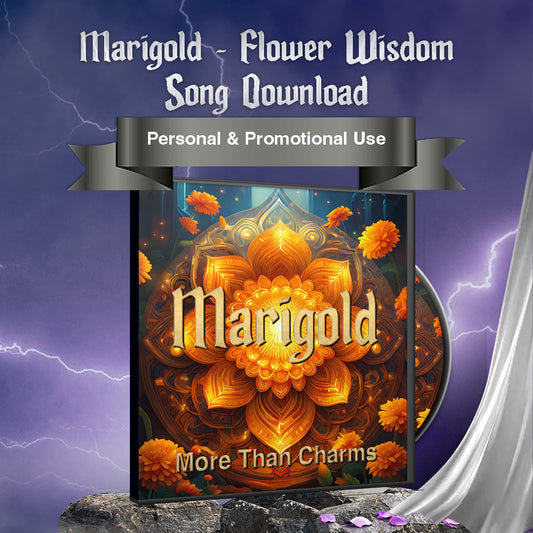 Marigold - Flower Wisdom Song More Than Charms Digital