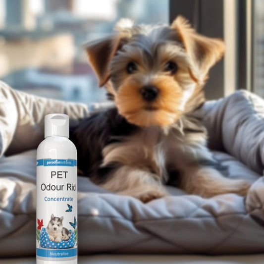 Pet Odour Rid Concentrate Paradise Nutrients