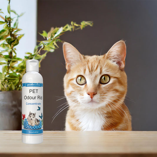 Pet Odour Rid Concentrate Paradise Nutrients