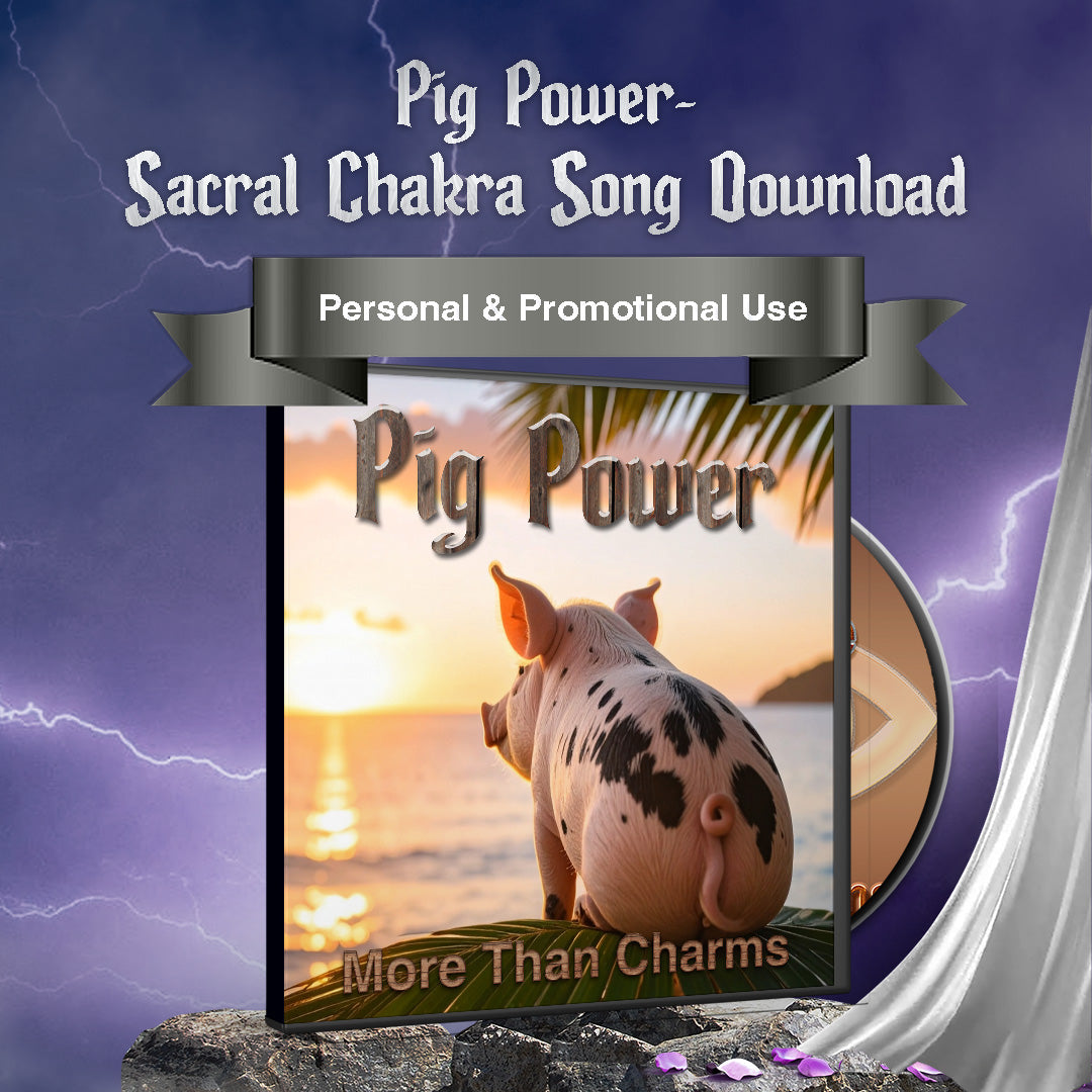 Piggy Vibe Song More Than Charms Digital