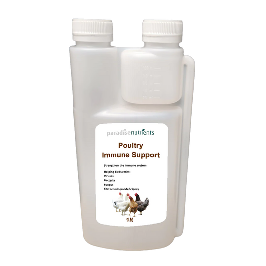 Poultry Immune Support - Paradise Nutrients - Poultry Immune Support assists your flock's immune system to recognise and kill off pathogens early and allow your birds to build a stealthy immunity naturally. Our approach to diseases in poultry is to keep y