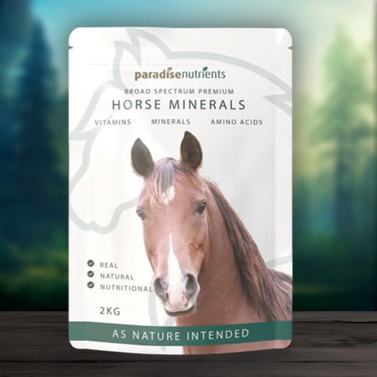 Premium Horse Minerals - Paradise Nutrients - Premium Horse Minerals features an amazingly unique blend of organic minerals, amino acids, and essential vitamins, boasting a wide spectrum of 74+ minerals, 14 amino acids and 10 vitamins The ingredients in t