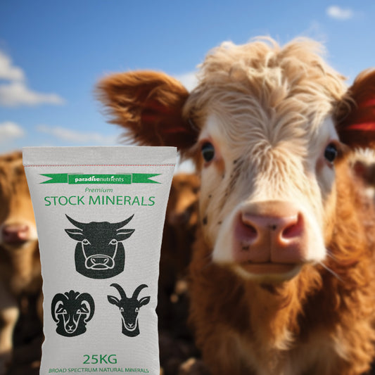 Premium Stock Minerals - Paradise Nutrients Paradise Nutrients