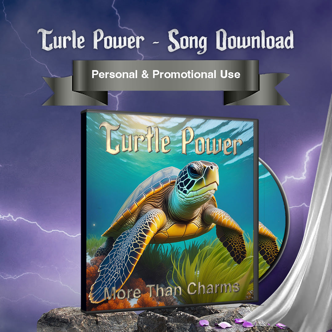 Turtle Power Song More Than Charms Digital
