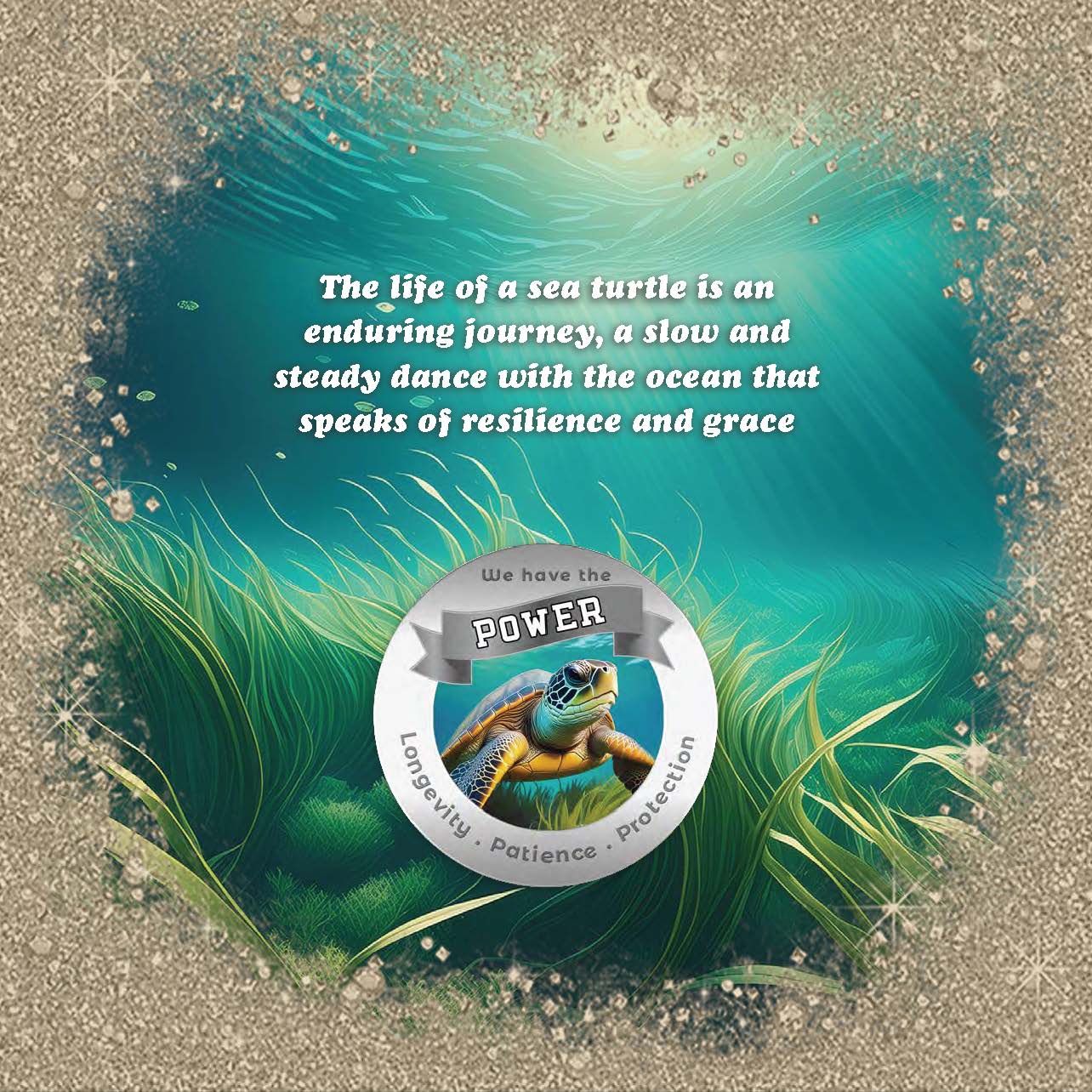 Where's the Turtle? eBook More Than Charms Digital