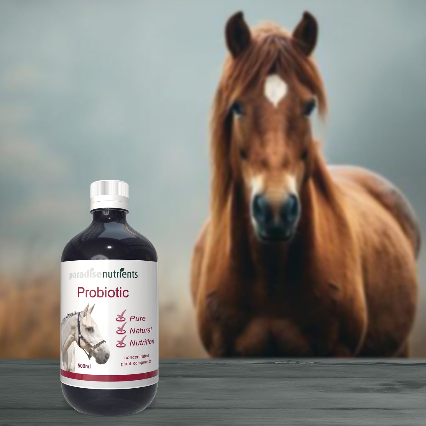 Horse Probiotic Tonic - Paradise Nutrients