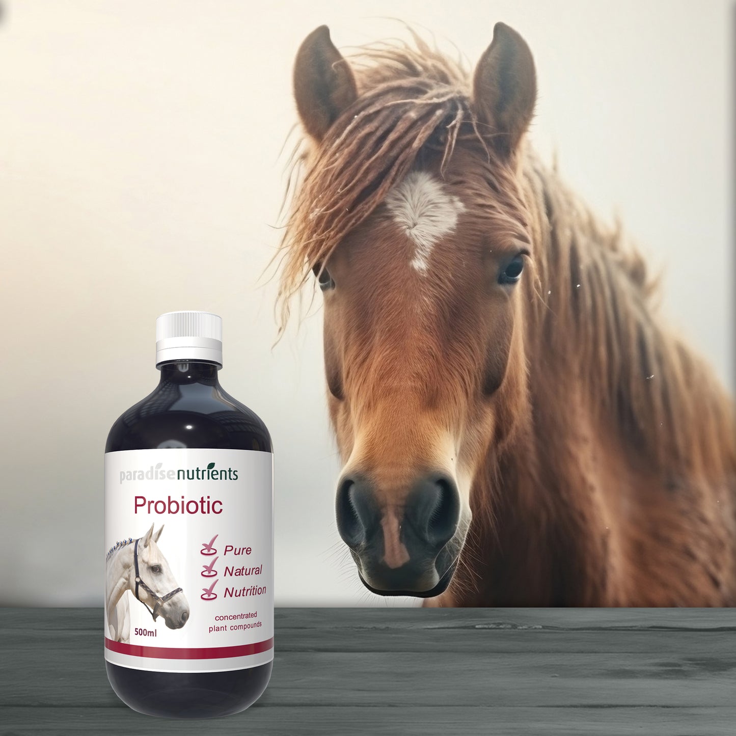 Horse Probiotic Tonic - Paradise Nutrients