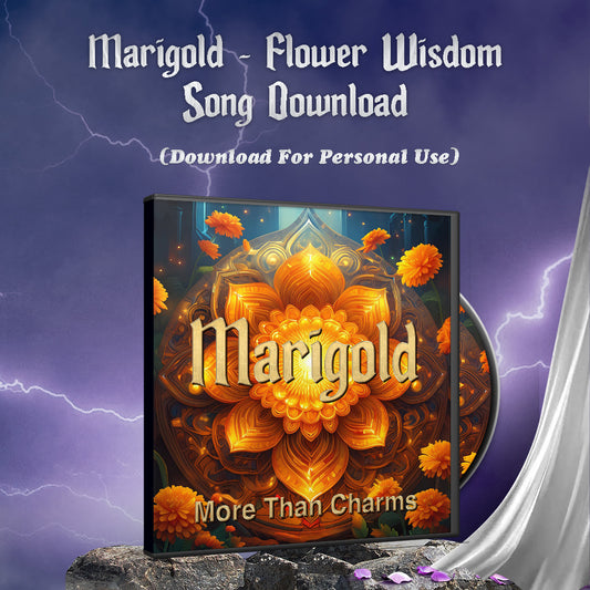 Marigold - Flower Wisdom Song