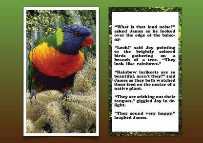 Where's The Bat - eBook (FREE) More Than Charms Digital