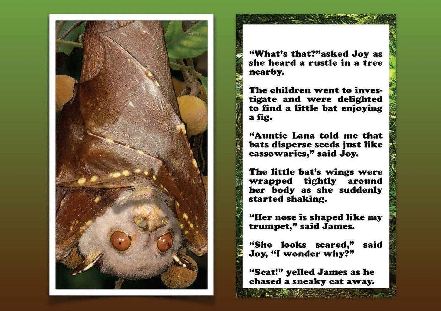 Where's The Bat - eBook (FREE) More Than Charms Digital