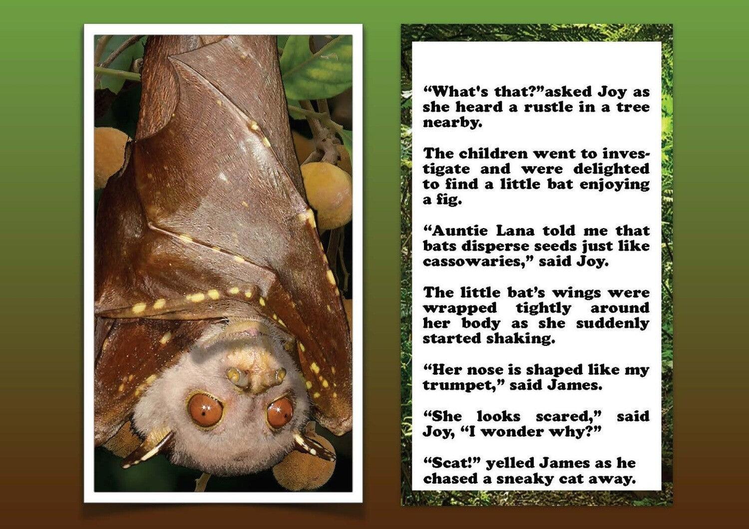 Where's The Bat - eBook (FREE) More Than Charms Digital