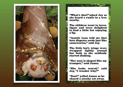 Where's The Bat - eBook (FREE) More Than Charms Digital