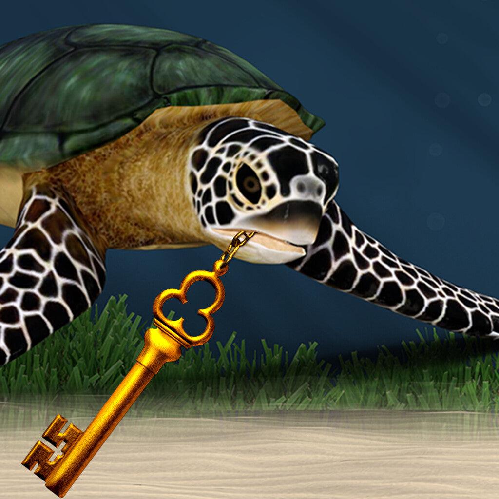 Where's The Turtle App More Than Charms Digital